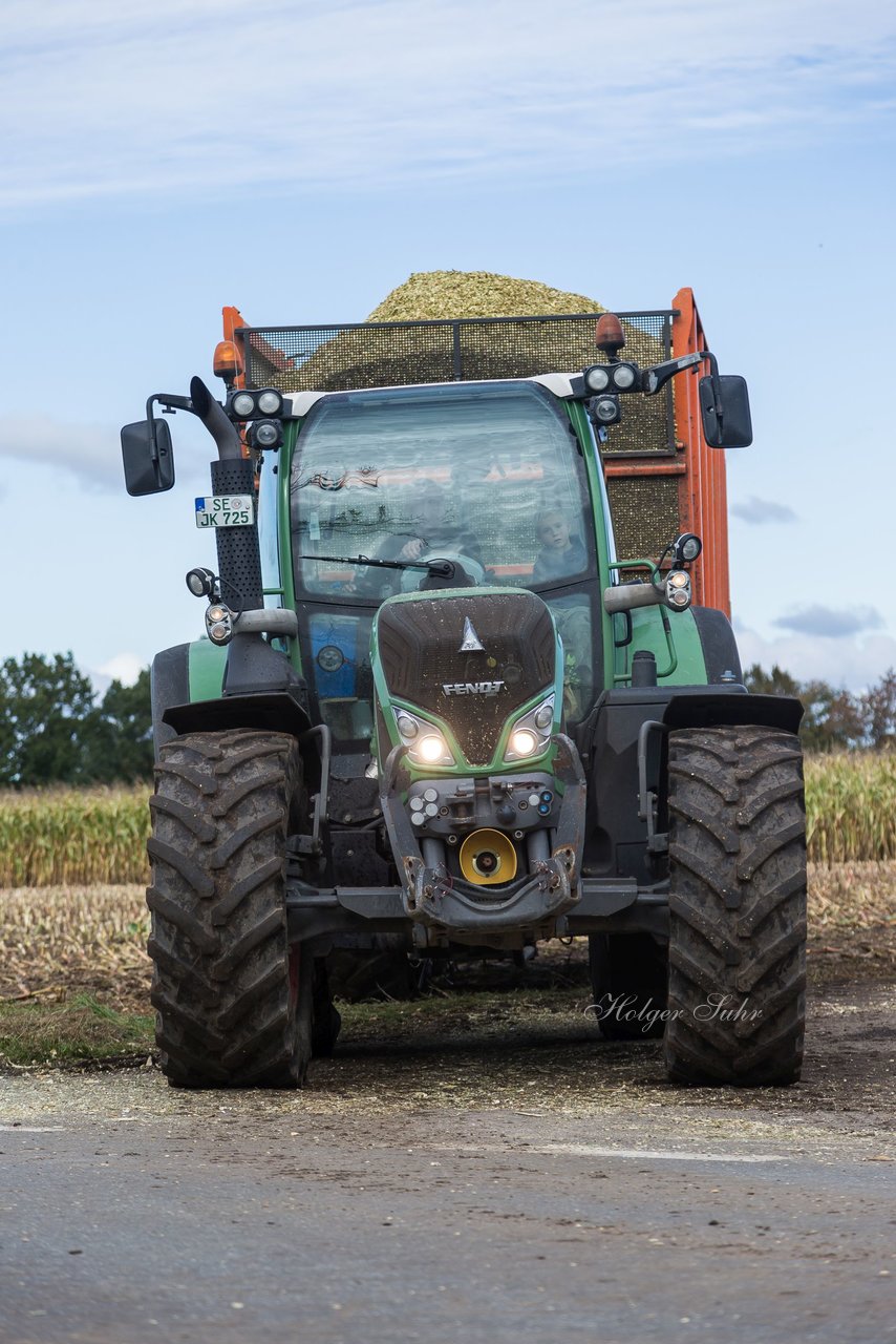 Bild 137 - Maisernte